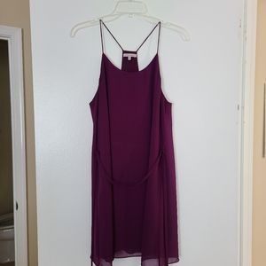 Naked Zebra Mini Dress